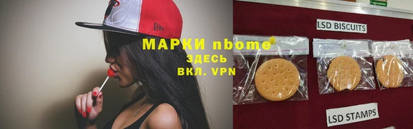 стафф Алексин