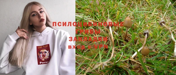стафф Алексин