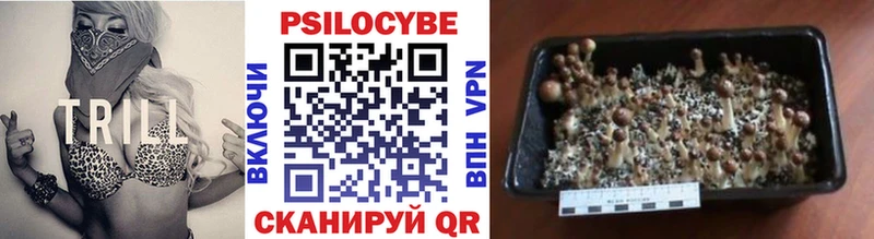 Псилоцибиновые грибы ЛСД  Завитинск 